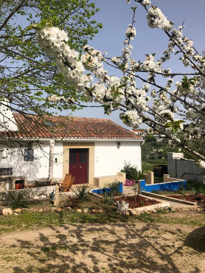 Ola Linda - Casa De Campo - Castelo de Vide Esterno foto